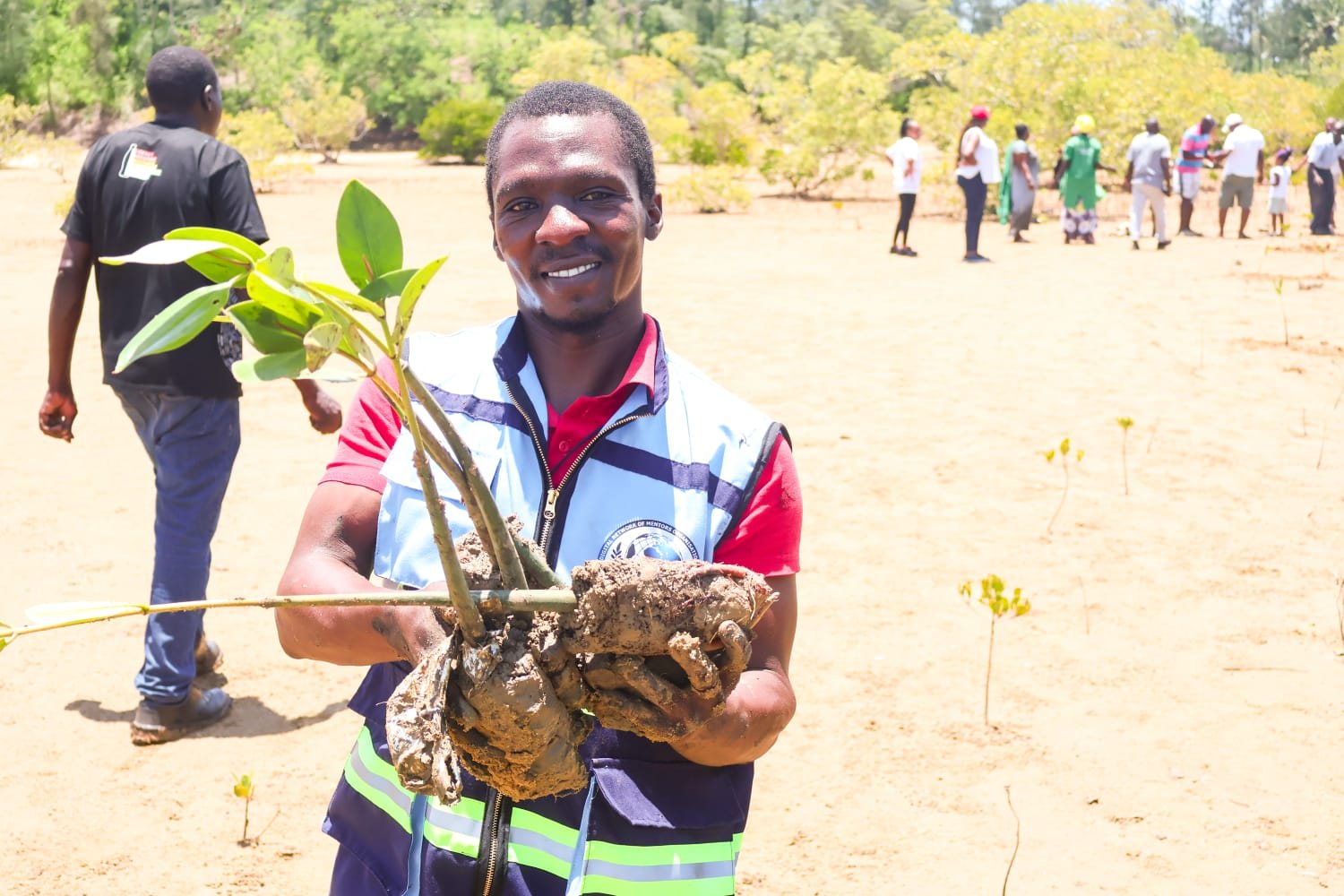 A smiling champion holding mangrove propagules on a wide planting site with volunteers behind
