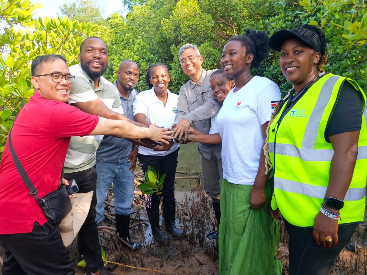 Partners and volunteers joining hands around a mangrove seedling at a restoration site